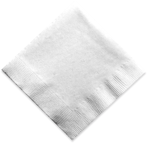 White Cloth Napkin 